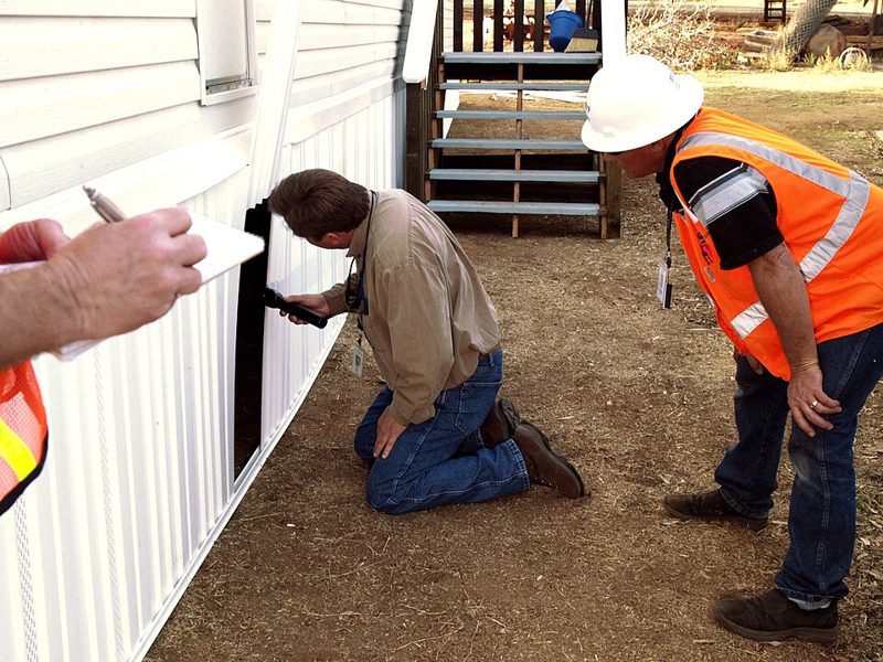 Pest Inspection